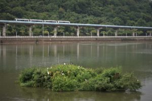 Attractions and Things to do off Taipei's MRT Brown Line (Dahu Lake Park)