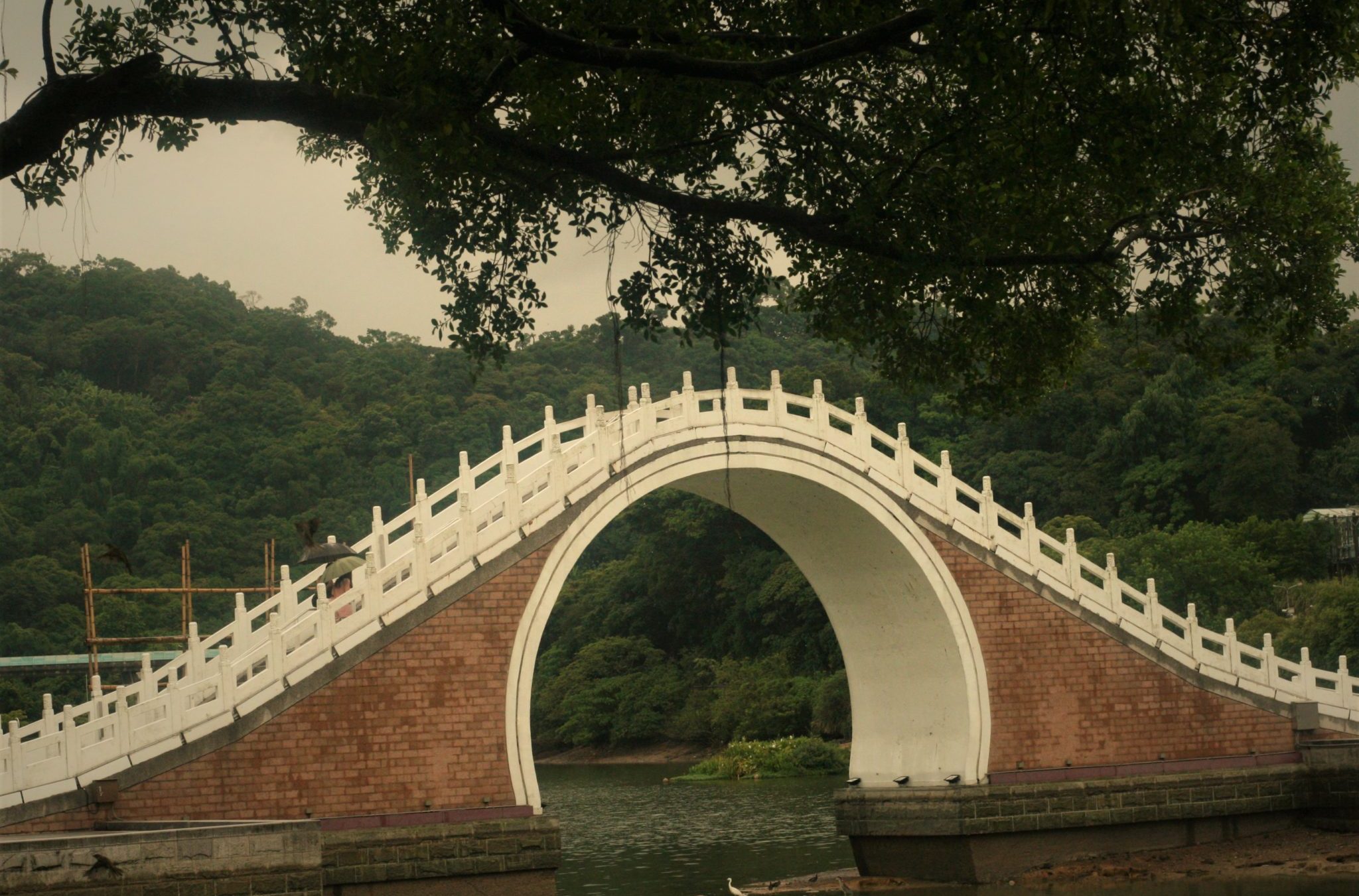 moon bridge at Dahu park - brown line station