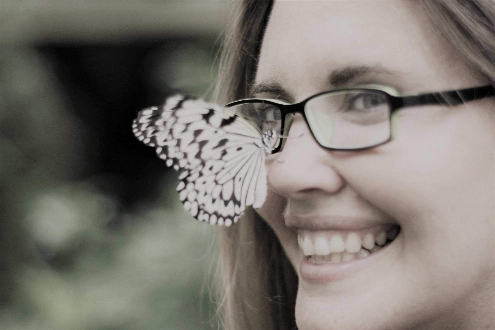 Five Tips for enjoying butterfly gardens
