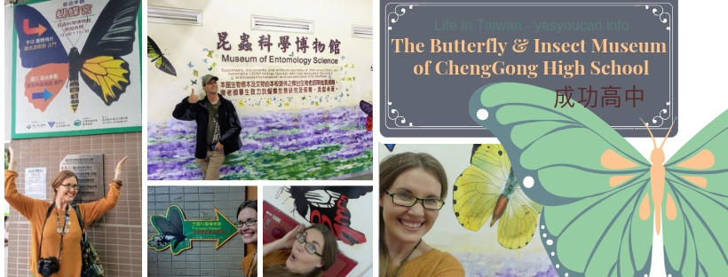 The Butterfly and Insect Museum of ChengGong High School 成功高中