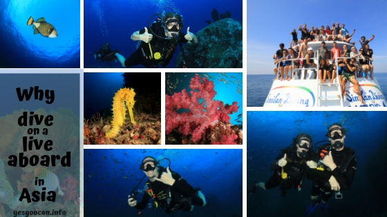 Why Dive on a Liveaboard in Asia?